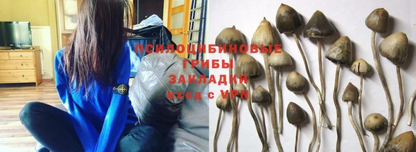 крисы Алексеевка