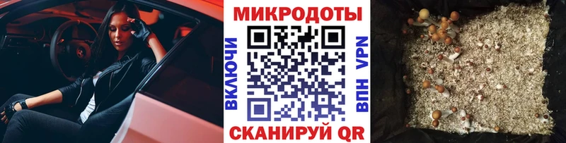 Галлюциногенные грибы MAGIC MUSHROOMS  даркнет сайт  Злынка 